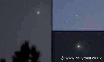 Did YOU see the green comet last seen by the Neanderthals that whizzed past Earth last night?