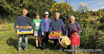 How The GardenWorks Project in Wheaton helps neighbors in need grow their own food