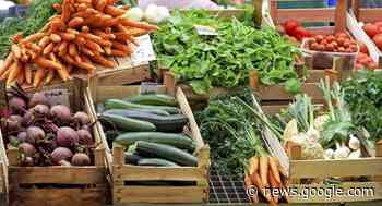 Da sabato il mercato agricolo di Montebelluna si amplia - Oggi Treviso