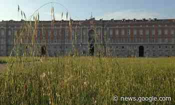 Verde pubblico: la prossima settimana al via il taglio dell'erba in tutta ... - CasertaWeb
