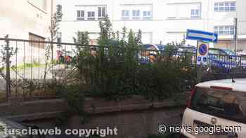 "Erba alta in via delle Fortezze e via San Leonardo" - Tuscia Web