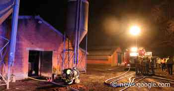 Zware brand legt varkensstal van Saeftingherhof in de as: tientallen ... - Het Laatste Nieuws