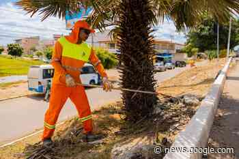 Esquema especial garante limpeza e organização do circuito do ... - Prefeitura de Juazeiro