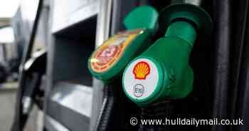 See how long it will take Shell to earn your wage in just sheer profit