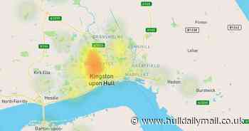 Japanese knotweed map of Hull shows serious hotspots in Sculcoates and Bransholme