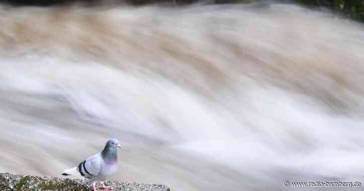 Schnee und Dauerregen sorgen für Feuerwehreinsätze in der Region Bamberg-Forchheim