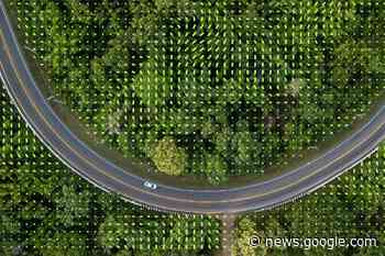 Vehicle architecture is key to the software-defined CV - Automotive World