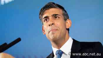 Shocked UK PM condemns British Gas collection agents after they allegedly broke into customer's homes