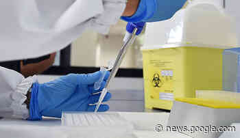 GENETICA MEDICA ECCELLENTE A MATERA - Cronache TV