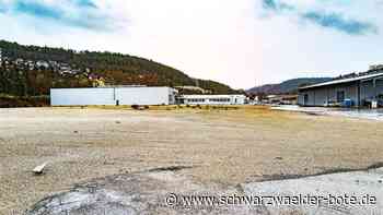 Bauhaus-Neubau in Nagold: Das gesamte Einkaufs-Areal wird überplant