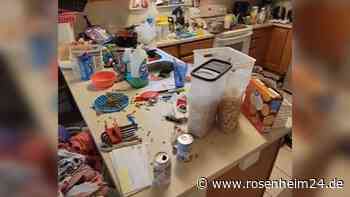 „Ich weiß, es ist schlimm“: Vierfach-Mutter präsentiert ungeschöntes Wohnungschaos auf TikTok