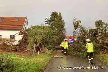 Preußisch Oldendorf: Heftige Windböe fegt durch Kanaldörfer