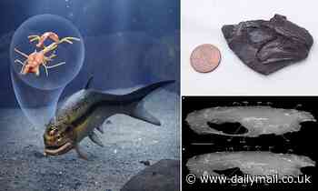 World's oldest preserved brain discovered in a Lancashire coal mine