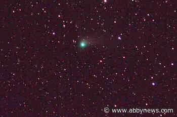 Rare ‘big fuzzy green ball’ comet visible in B.C. skies, a 50,000-year sight