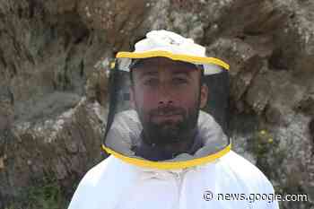 A Pantelleria Danny Almanza salva le api e protegge il territorio - Tp24