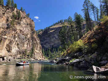 What Does It Mean To Be A “Woman In Science”? – American Rivers - American Rivers