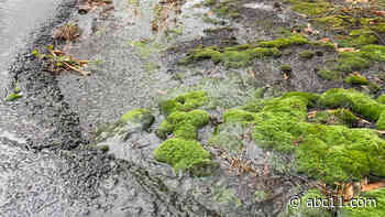 Cold, steady rain Thursday