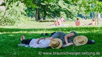 Klimawandel: Wie Stadtplanung vor Hitzetoten schützen kann