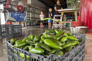 New Mexico considers roasted chile as official state aroma - Virden Empire Advance