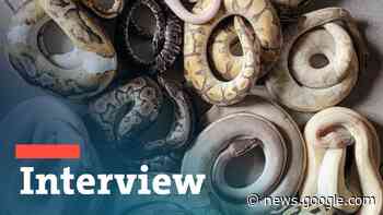 Experte zu erfrorenen Schlangen: schwierig, die Täter zu finden - SWR Aktuell