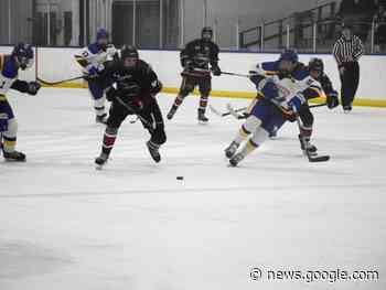 Bisons face uphill struggle for playoff spot - Airdrie Echo