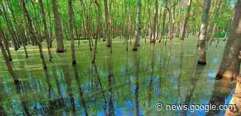 A Grado tutto l'anno un'immersione slow tra mare e natura - Nordest24.it