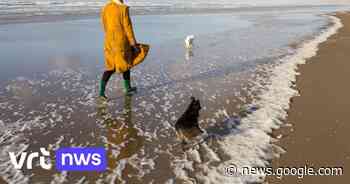 PFAS im Meeresschaum an den Ständen von Knokke und De Haan ... - VRT