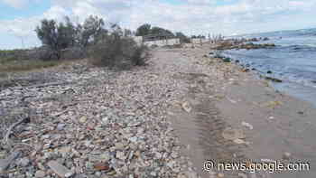 Canale Ciappetta Camaggi, tavolo tecnico tra i comuni di Andria e ... - BarlettaLive
