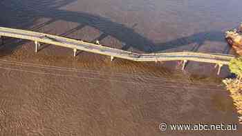 East Kimberley businesses call for expansion of government freight subsidies as their flood isolation continues