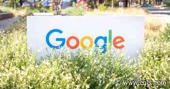 Expect Google's Answer to ChatGPT AI Chatbot in a Few Weeks, CEO Says     - CNET