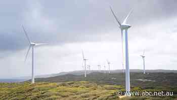 Twiggy Forrest's FFI reports signing contracts with 'more than 50' Esperance landowners