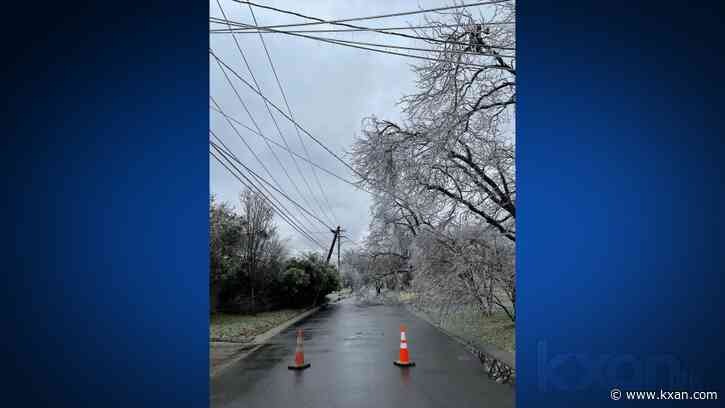 Tree trouble: Focus on vegetation management after Austin power outages
