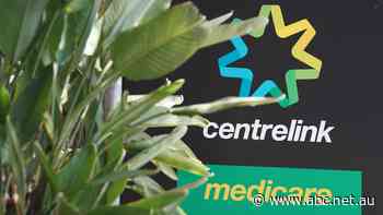 Taxpayer-funded review that found 'flaws' in Robodebt scheme was discontinued