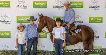 Two-year-old colt sells for six figures to equal record on $3.9m day