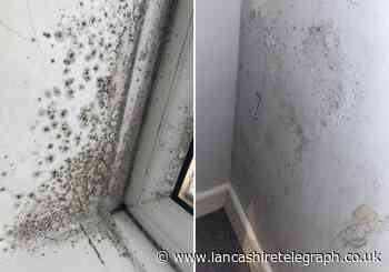 Rishton mum fears for premature baby in mould-ridden home
