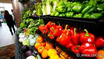 High food prices stir appetite for budget-minded recipes from food writers