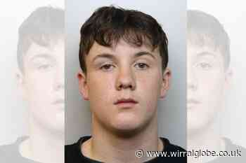 Appeal to find missing boy, 16