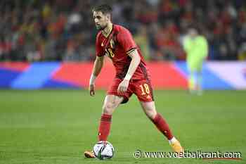 OFFICIEEL: Adnan Januzaj gaat tot het einde van het seizoen in Turkije voetballen