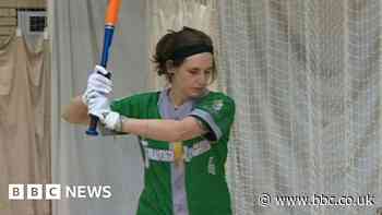 New Forest Thunder Knights baseball team preps for first season