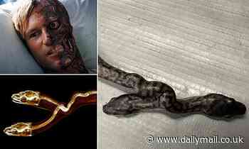 Mutant two-headed SNAKE born in Australia is named after Batman's nemesis 