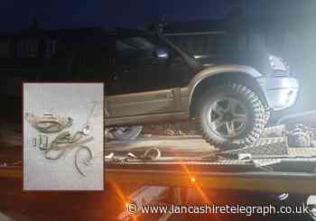 Man reported for illegal hare coursing in west Lancs