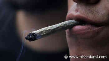 Recreational Marijuana Use in Florida Moves Step Closer to 2024 Ballot