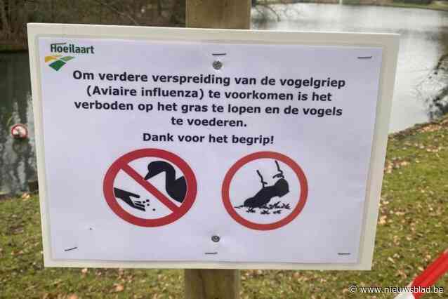 Overleden Canadese ganzen blijken besmet met vogelgriep