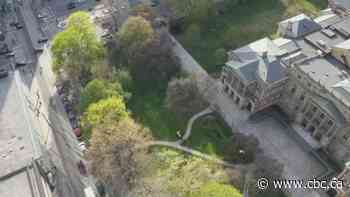 Law society will seek injunction to stop Metrolinx from cutting down trees at historic Osgoode Hall