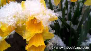 New Prediction Offers Look at Spring 2023 Forecast for Chicago Area