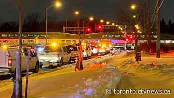 'Heroic' TTC driver rescues 4 people before GO train crushes car