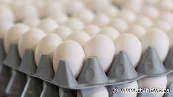 'Made-in-Canada system' keeps egg supply stable. But is it also keeping prices high?