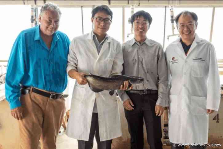 Scientists Use CRISPR To Put Genes From Alligator Into Catfish