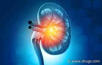 Risk Factors for Pediatric CKD Progression Identified