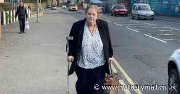 Crufts-winning breeder jailed after her dog mauls visitor causing 'significant' injuries